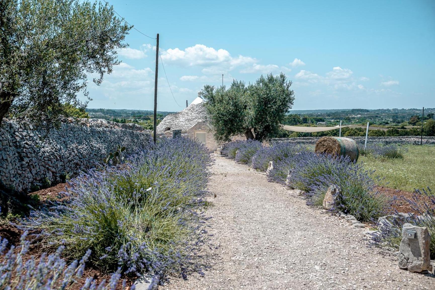 Masseria Pavone Martina Franca Exteriör bild